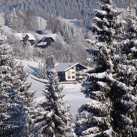Cozy Apartment In Afritz Am See Near Gerlitzen Ski Area Екстериор снимка
